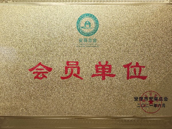 陜西鑫安安防
